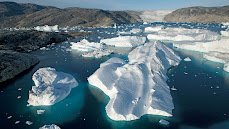 Arctic icebergs are melting