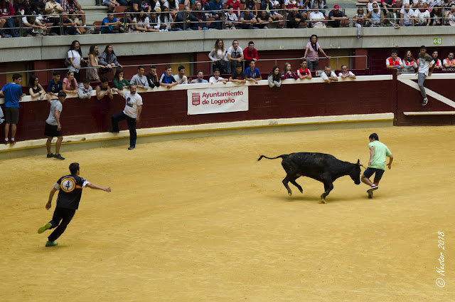 Fiestas San Mateo 2018. Logroño - La Rioja