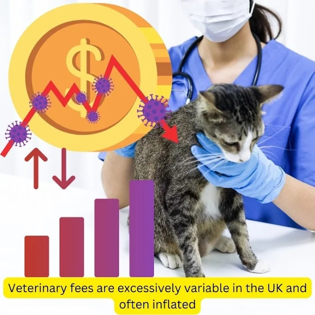 Veterinary fees in the UK are often unreasonably variable and inflated