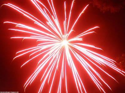 animated fireworks wallpaper. july fireworks wallpaper.