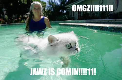 Funny Cat Swimming