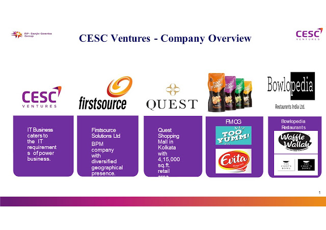 holdings and business overview of cesc ventures