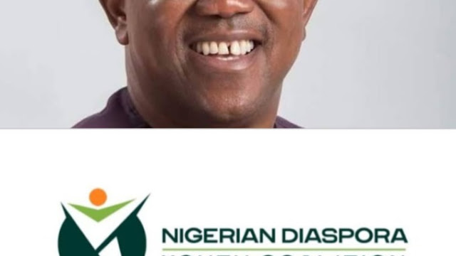 2023: Diaspora Coalition, NDYC, Backs Peter Obi’s Presidential Bid