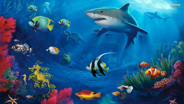 Underwater sea creatures and other animals Wallpapers | SEA LIFE Adventure Backgrounds 