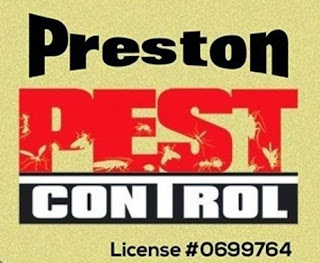 Pest control san antonio