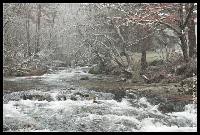 Rascafría Arroyo de la Angostura