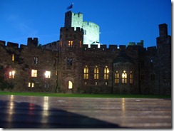 PECKFORTON NIGHT ASH