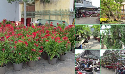 View album