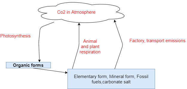 Carbon cycle