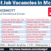 Job Vacancies in McDermott - UAE | Saudi Arabia | US | Malaysia | Australia | India