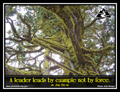 A leader leads by example not by force. - Sun Tzu