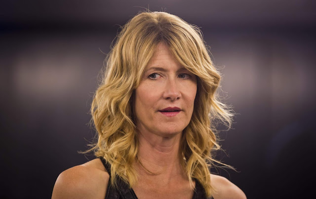 Celebrity, Hollywood, Laura Dern Wiki & Biography,laura dern husband,laura dern net worth,laura dern children,laura dern mother,laura dern imdb,laura dern now,laura dern movies,laura dern awards,