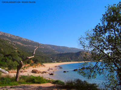 PORTINHO DA ARRÁBIDA