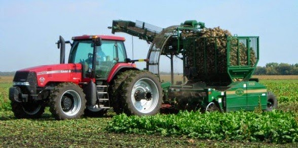 La Stevia Europa La Stevia Se Cultiva En Europa