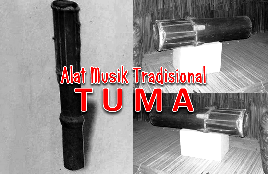 Fungsi Alat Musik Tradisional Tuma Kalimantan Barat