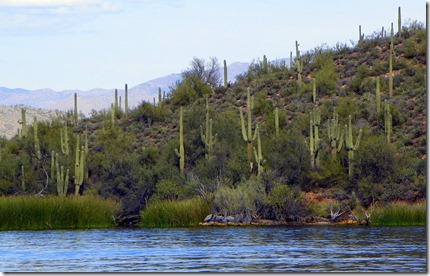 100_4853-001