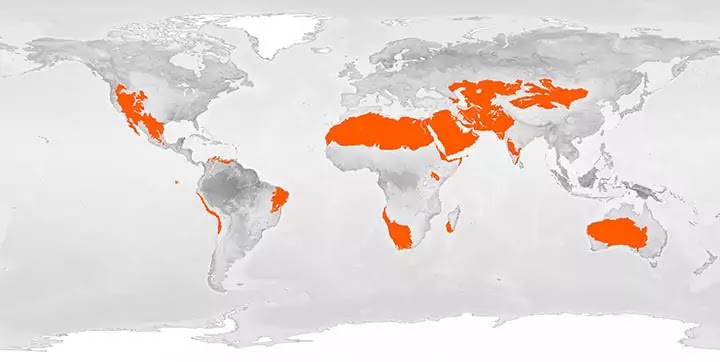 Deserts in the World