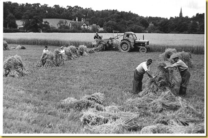 History Group Images. CD4 008