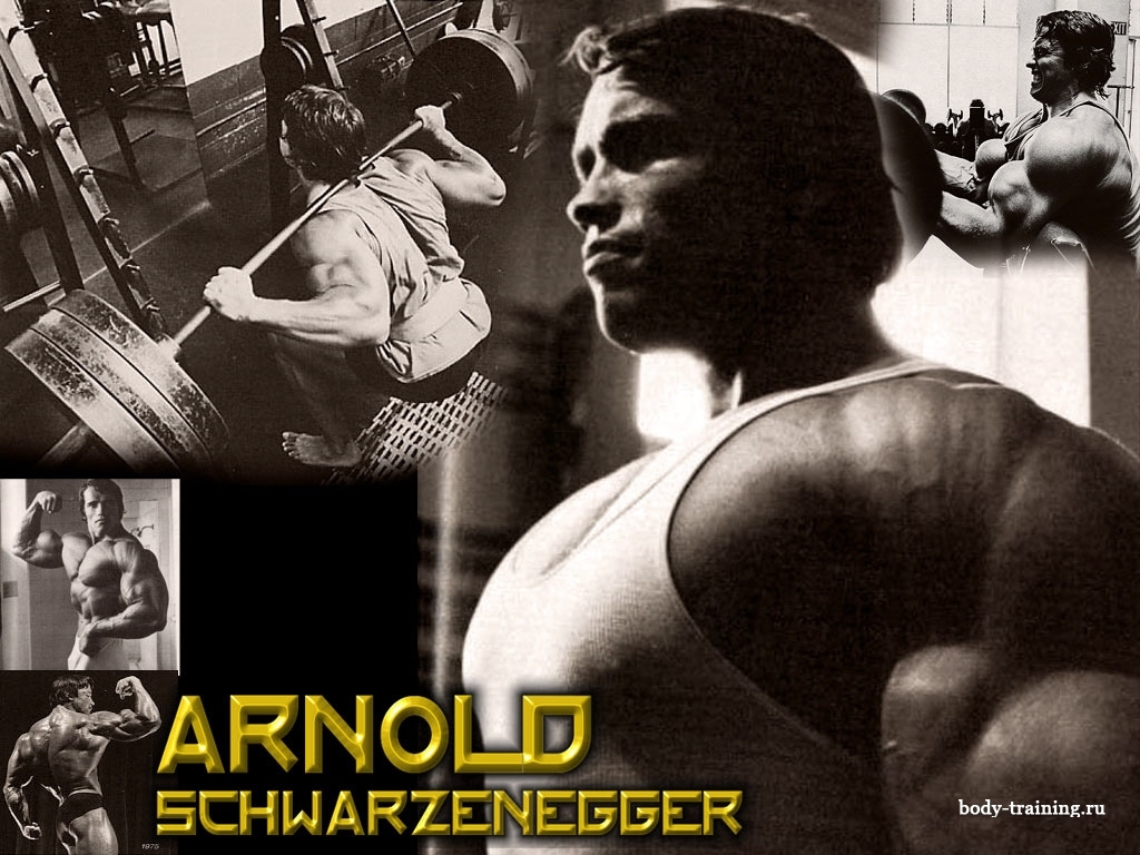 Arnold Schwarzenegger Bodybuilding Wallpaper Wallpapers