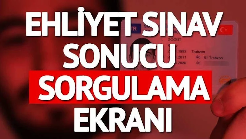 ehliyet e-sınav sonuçları nasıl öğrenilir? ehliyet e sınav sonuç sorgulama e devlet ehliyet sınavı sonuç sorgulama sayfası ekranı