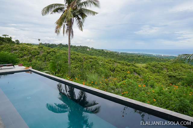 pet sanctuary at Tanyanyas Hill House, San Fernando, Cebu