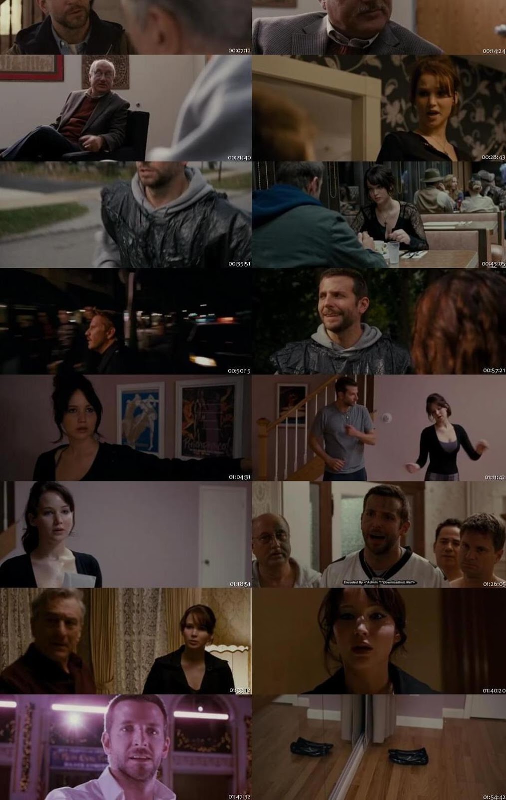 2012 Silver Linings Playbook