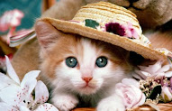 60+ Tergokil Foto Foto Hewan Lucu Dan Imut