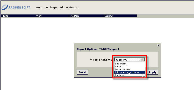 jasper reports show input control on server