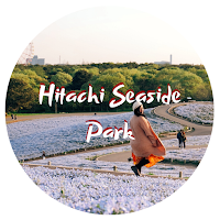 http://www.missnidy.com/2018/04/nemophilia-di-hitachi-seaside-park.html