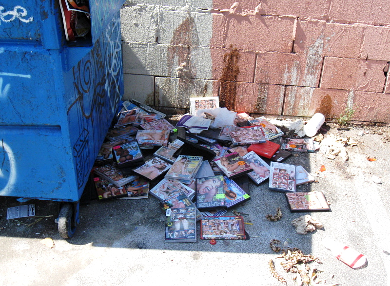 LA Shit Porn Dumpster Posted by pweny at 427 PM