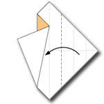 Racoon Origami