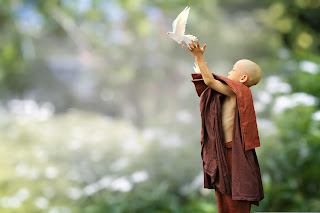 A photograph of a young Buddhist boy releasing a white dove