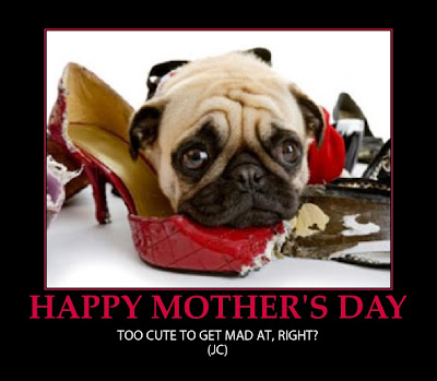 Mothers Day Funny 