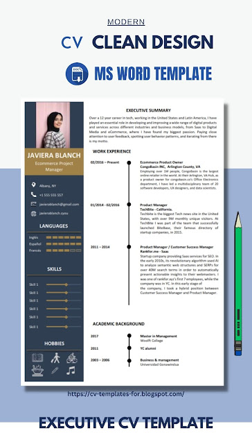 Executive CV template