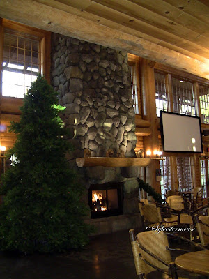 fireplace in the lodge at the Memphis zoo