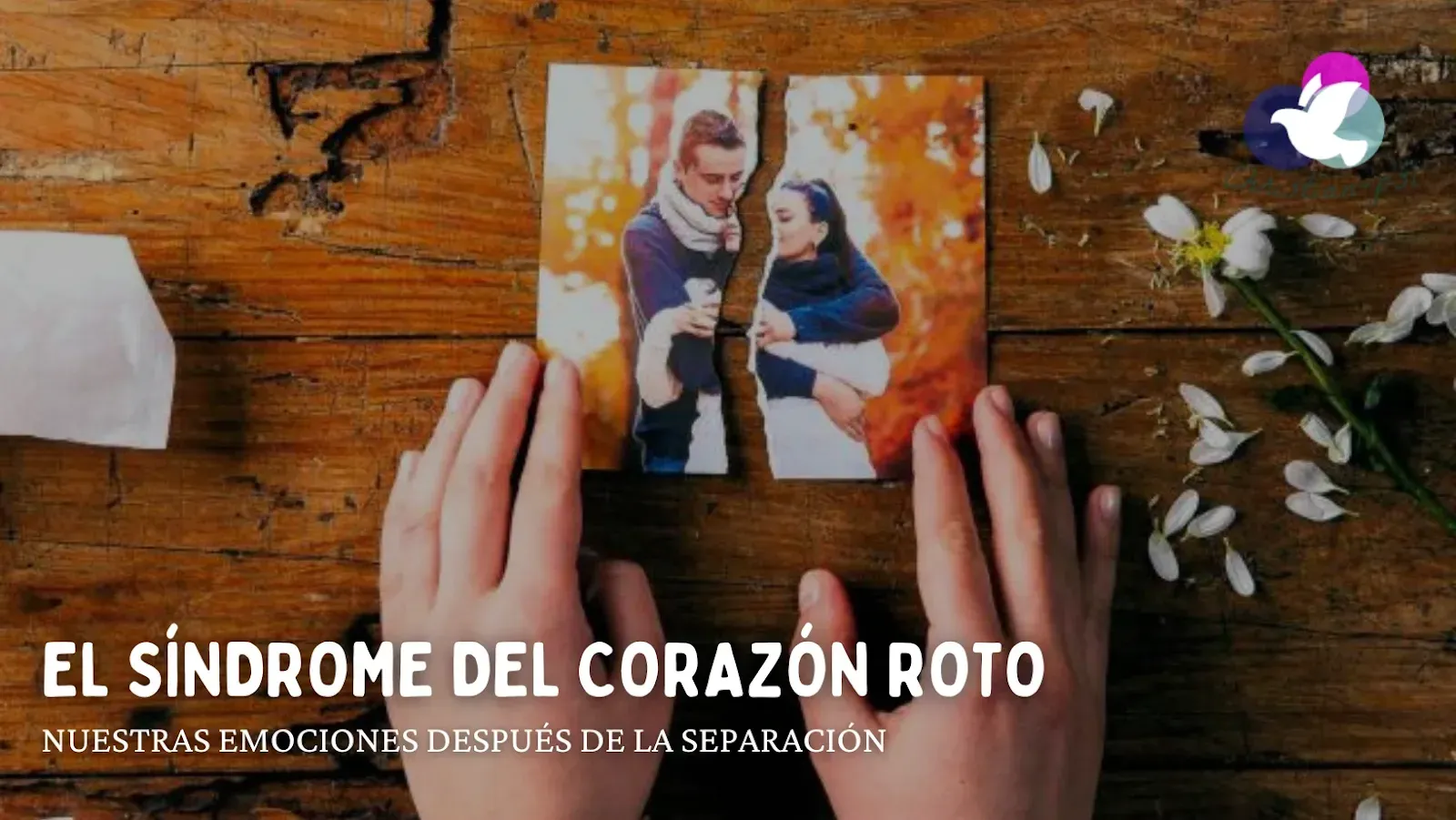 Sanando el Dolor del Corazón Roto: ¿Como sobrevivir a una separación?