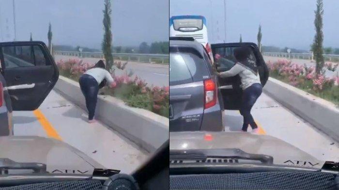 Viral, Seorang Perempuan Turun dari Mobil untuk Mencuri Bunga di Jalan Tol