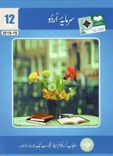 2nd year sarmaya Urdu book pdf download