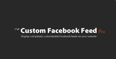 Custom Facebook Feed Pro GPL v4.3.4 - Latest version icon