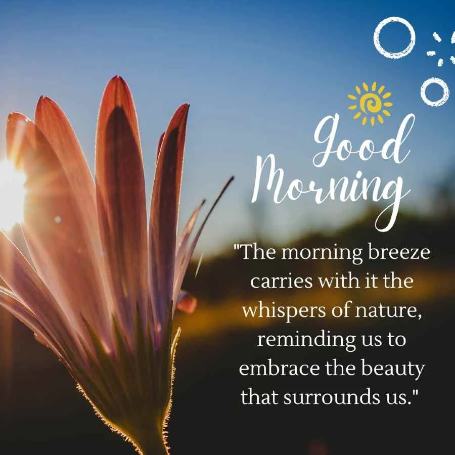 Embrace the Blissful Mornings: Inspiring Good Morning Quotes and Wishes