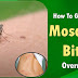 How To Get Rid Of Mosquito Bites Overnight
