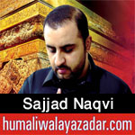 http://www.humaliwalayazadar.com/2016/09/sajjad-naqvi-nohay-2017.html