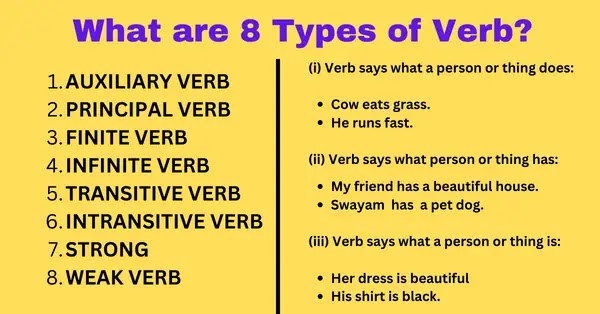 What are 8 Types of Verb?