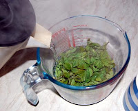 making blackberry leaf tea