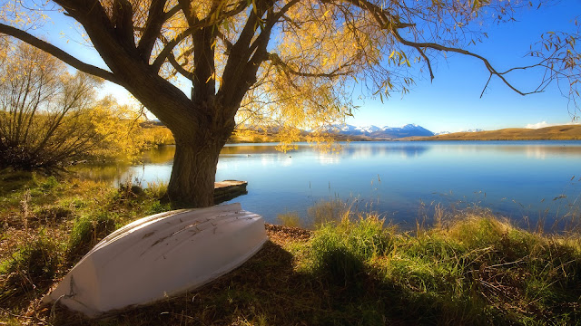 boat,water,lake and golden and blue trees
