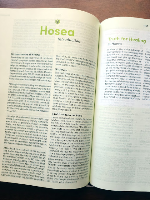 Hosea Introduction