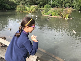 Feeding the ducks at WWT Arundel