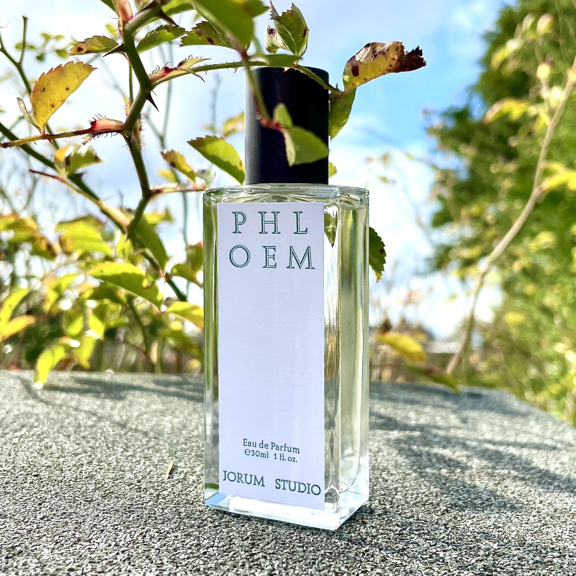 A bottle of Phloem perfume from Jorum Studio