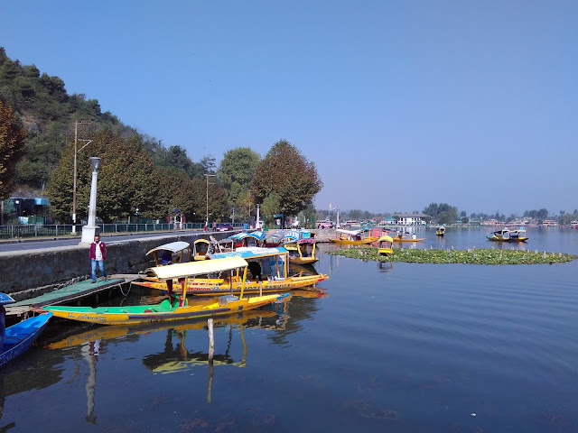 beauty of dal lake