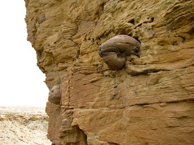 Shoshoni, Wyoming